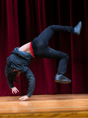 PS 244 The Active Learning Elementary School Queens